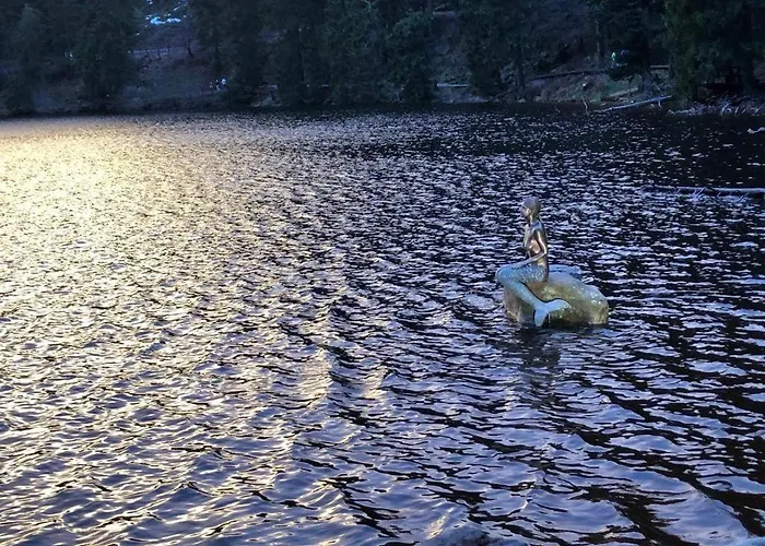 Апартаменты Ferienwohnung-schoenmuenzblick-urlaub-im-nationalpark-schwarzwald-schwarzwald-plus-inklusive