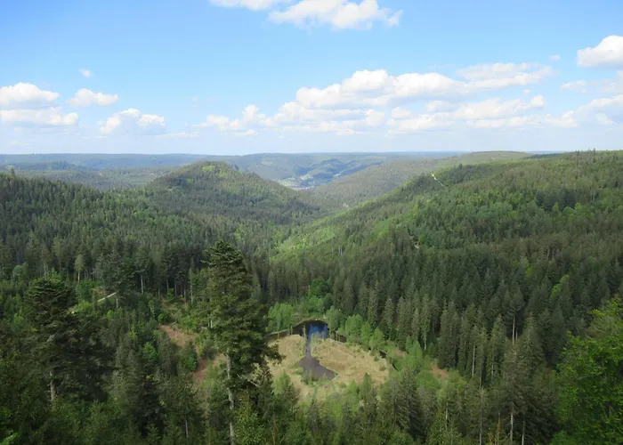 Ferienwohnung-schoenmuenzblick-urlaub-im-nationalpark-schwarzwald-schwarzwald-plus-inklusive