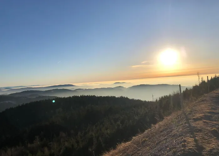 Ferienwohnung-schoenmuenzblick-urlaub-im-nationalpark-schwarzwald-schwarzwald-plus-inklusive Апартаменты *