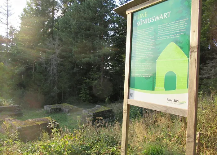 Ferienwohnung-schoenmuenzblick-urlaub-im-nationalpark-schwarzwald-schwarzwald-plus-inklusive Апартаменты *