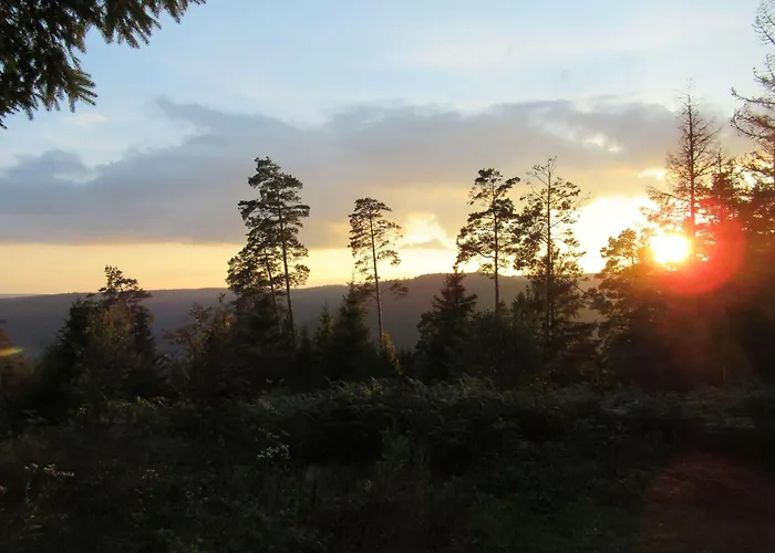 Ferienwohnung-schoenmuenzblick-urlaub-im-nationalpark-schwarzwald-schwarzwald-plus-inklusive Апартаменты Байрсброн